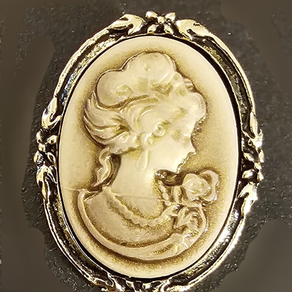 Gorgeous Cameo Brooch w/Silver and Gold plated Chain - Picture 3 of 3
